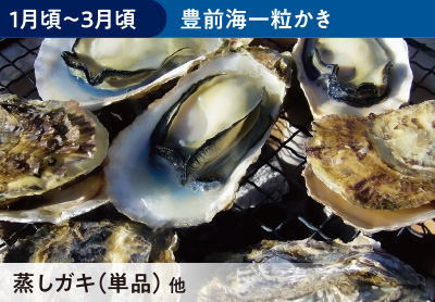 豊前海一粒かき