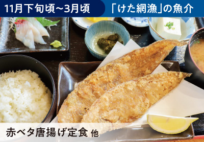 けた網漁の魚介